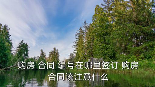 購房合同編號可以自己隨便編嗎,查詢自己購房合同編號