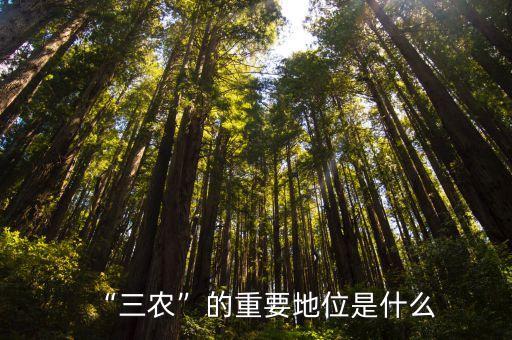 農(nóng)業(yè)勞動(dòng)生產(chǎn)率,機(jī)械技術(shù)的應(yīng)用提高的是農(nóng)業(yè)勞動(dòng)生產(chǎn)率