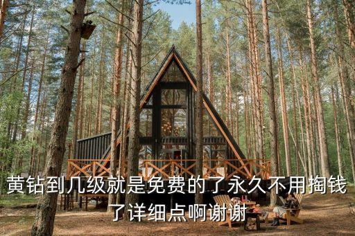 黃鉆到幾級就是免費的了永久不用掏錢了詳細(xì)點啊謝謝