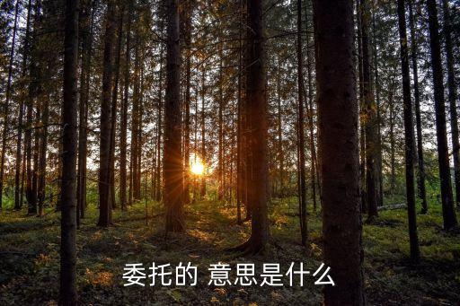 委托的 意思是什么