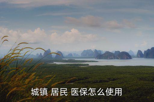 城鄉(xiāng)居民醫(yī)保