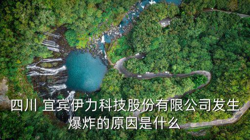 宜賓首富