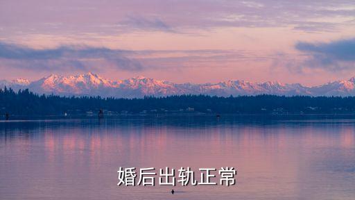 婚后出軌正常