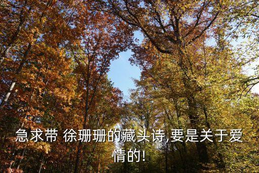 徐珊珊