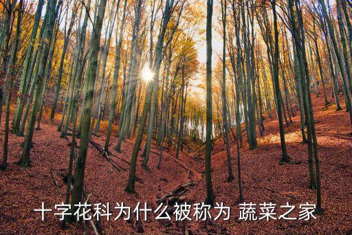 蔬菜王國