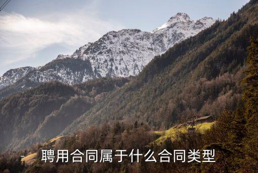 聘用合同，聘用合同屬于什么合同類型