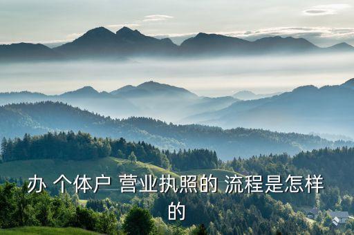 辦 個(gè)體戶 營業(yè)執(zhí)照的 流程是怎樣的