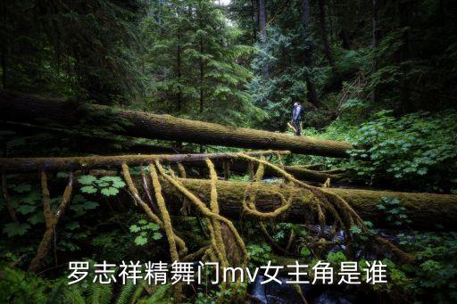 羅志祥精舞門mv女主角是誰