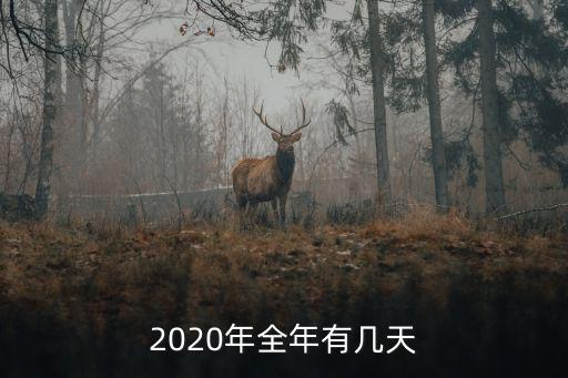 2020年多少天，2020年全年有幾天