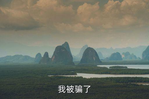 抱協(xié)，我被騙了