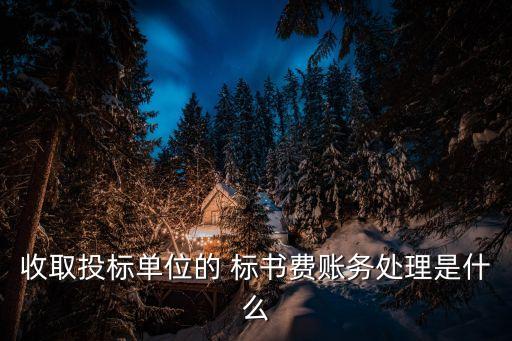 收取投標(biāo)單位的 標(biāo)書費(fèi)賬務(wù)處理是什么