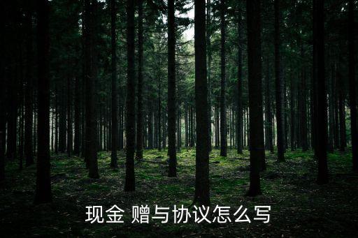 現(xiàn)金 贈(zèng)與協(xié)議怎么寫