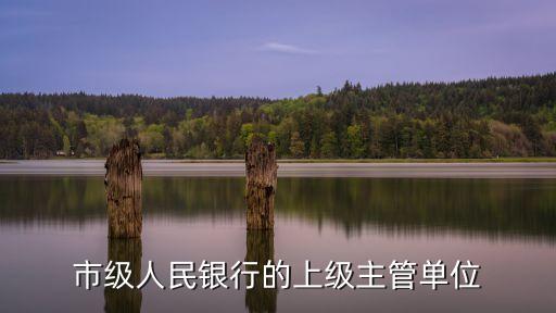 上級(jí)主管部門，市級(jí)人民銀行的上級(jí)主管單位