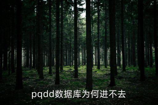 PQDD，pqdd數(shù)據(jù)庫為何進(jìn)不去