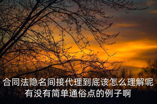 合同法隱名間接代理到底該怎么理解呢有沒(méi)有簡(jiǎn)單通俗點(diǎn)的例子啊