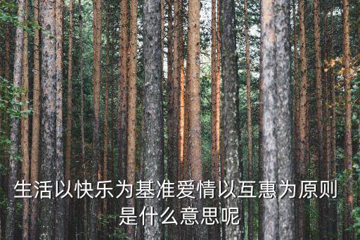 生活以快樂為基準(zhǔn)愛情以互惠為原則 是什么意思呢