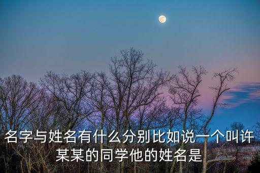 名字與姓名有什么分別比如說一個叫許某某的同學(xué)他的姓名是