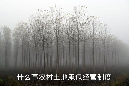 農(nóng)村土地制度，農(nóng)村土地分配制度是怎么樣的