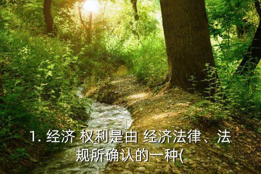 經(jīng)濟(jì)權(quán)利