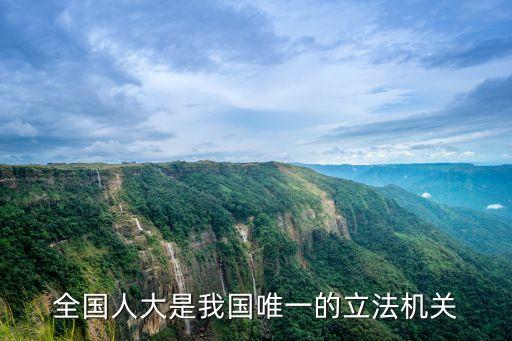 國(guó)家立法機(jī)關(guān)，全國(guó)人大是我國(guó)唯一的立法機(jī)關(guān)