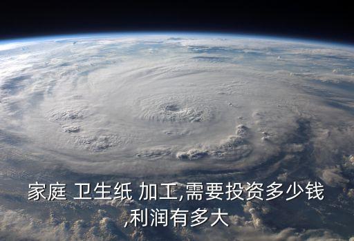 家庭 衛(wèi)生紙 加工,需要投資多少錢,利潤有多大