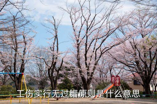 工傷實(shí)行無(wú)過(guò)錯(cuò)原則是什么意思