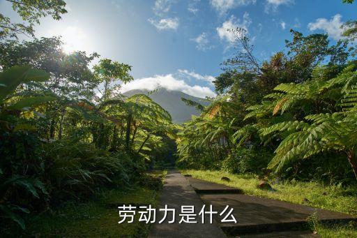 勞動(dòng)力是指，什么是勞動(dòng)力