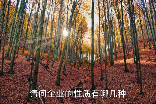 公司性質(zhì)有哪幾種類型，企業(yè)性質(zhì)如何分類