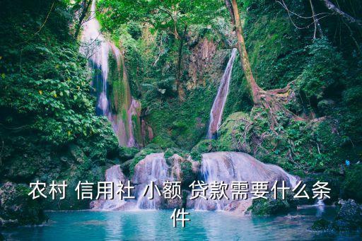 農(nóng)村 信用社 小額 貸款需要什么條件