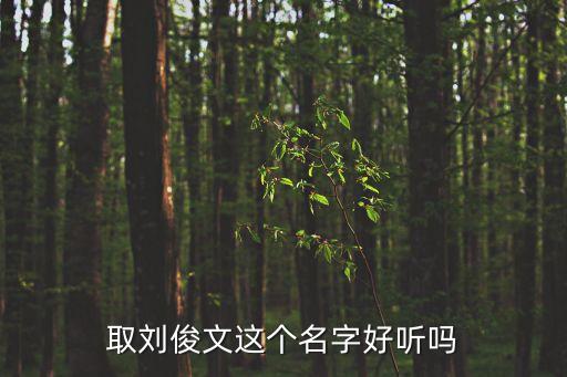 取劉俊文這個名字好聽嗎