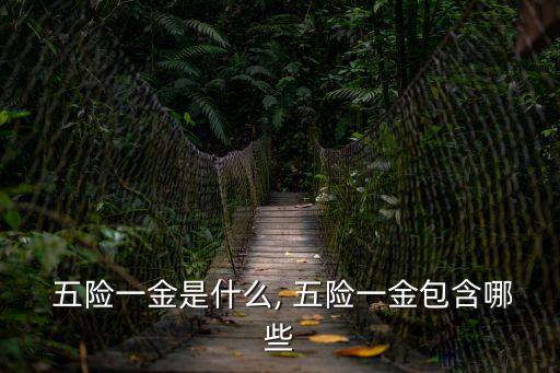  五險(xiǎn)一金是什么, 五險(xiǎn)一金包含哪些