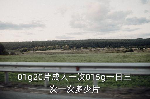 01g20片成人一次015g一日三次一次多少片