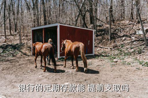 整存整取可以提前取嗎,銀行app整存整取可以提前取嗎