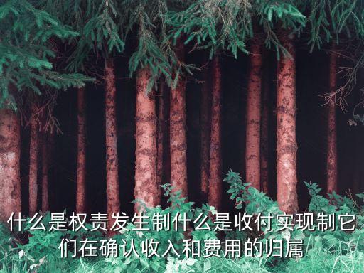 什么是權(quán)責(zé)發(fā)生制什么是收付實(shí)現(xiàn)制它們?cè)诖_認(rèn)收入和費(fèi)用的歸屬