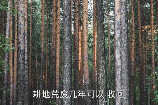 閑置土地收回程序的法律規(guī)定,國家規(guī)定閑置土地收回