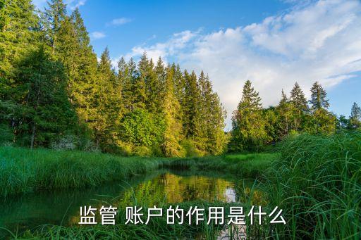 監(jiān)管賬戶