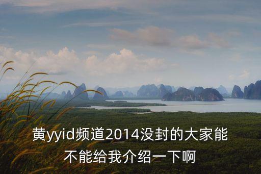 黃yyid頻道2014沒封的大家能不能給我介紹一下啊