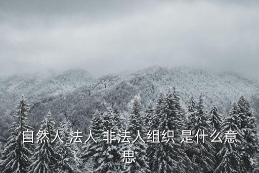 非法人組織，自然人 法人 非法人組織 是什么意思
