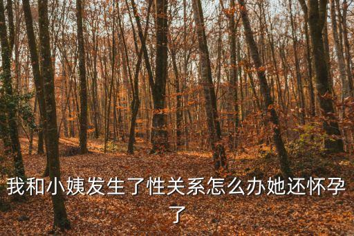 我和姨母，我和小姨發(fā)生了性關(guān)系怎么辦她還懷孕了
