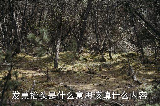 發(fā)票抬頭是什么意思該填什么內(nèi)容
