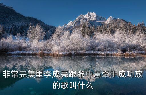 李成亮，李成亮的藝術簽名