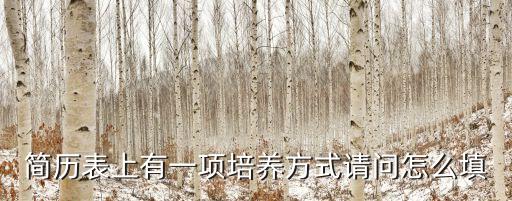 簡歷表上有一項培養(yǎng)方式請問怎么填