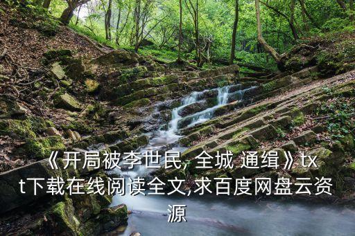 《開局被李世民, 全城 通緝》txt下載在線閱讀全文,求百度網(wǎng)盤云資源