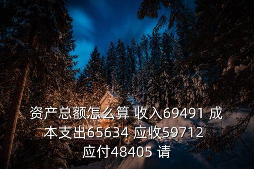 資產(chǎn)總額怎么算 收入69491 成本支出65634 應(yīng)收59712 應(yīng)付48405 請(qǐng)