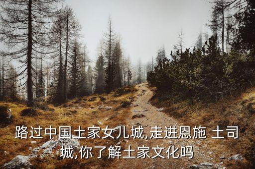 唐崖土司城遺址,恩施唐崖土司城遺址