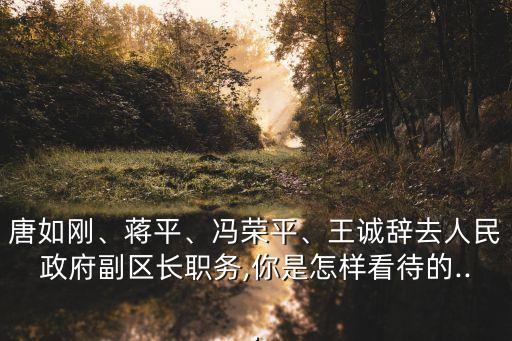 唐如剛、蔣平、馮榮平、王誠辭去人民政府副區(qū)長職務,你是怎樣看待的...