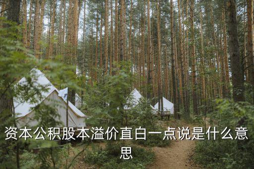 股本溢價(jià)，資本公積股本溢價(jià)直白一點(diǎn)說是什么意思