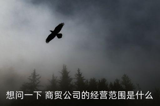 商貿(mào)有限公司的經(jīng)營范圍，商貿(mào)公司經(jīng)營范圍有哪些