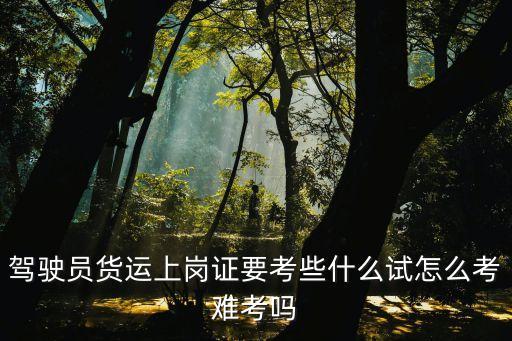 駕駛員貨運(yùn)上崗證要考些什么試怎么考難考嗎
