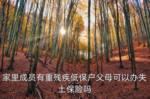 失土保險(xiǎn)，家里成員有重殘疾低保戶(hù)父母可以辦失土保險(xiǎn)嗎